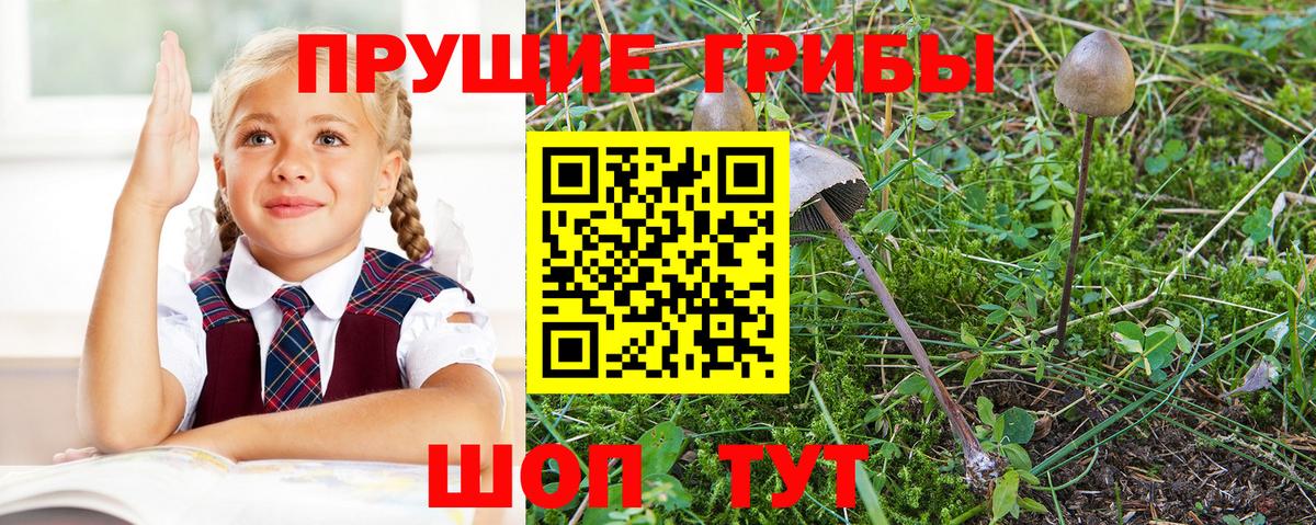 Псилоцибиновые грибы Magic Shrooms  Вход с VPN  Среднеуральск 